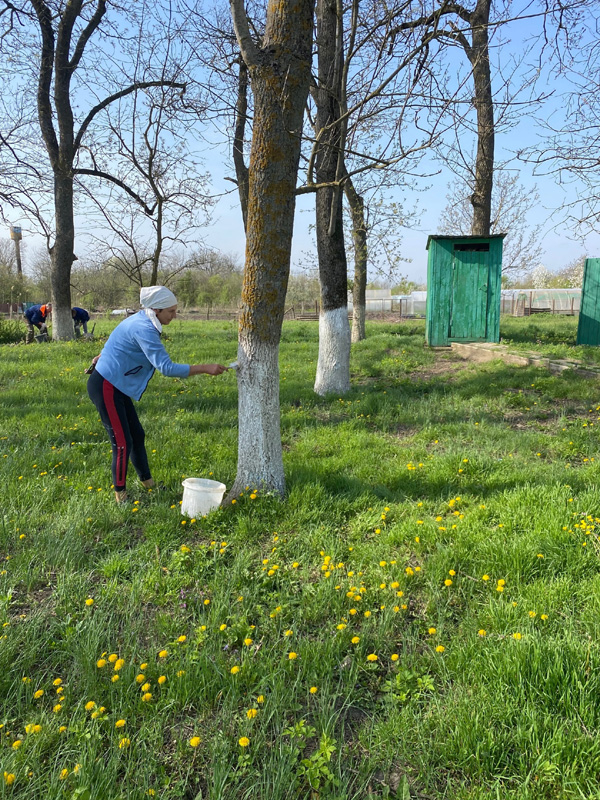 проведение субботника