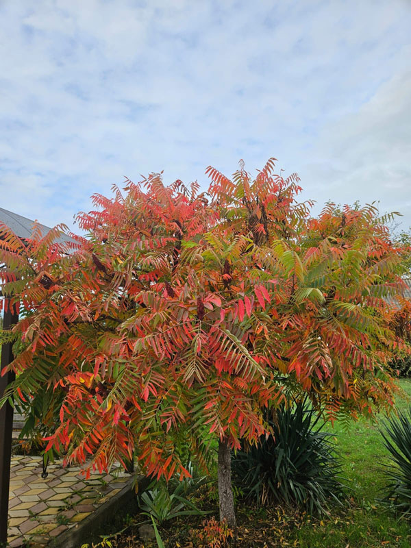 Осенние цвета хутора Стефановский