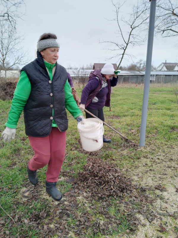 уборка сухой листвы