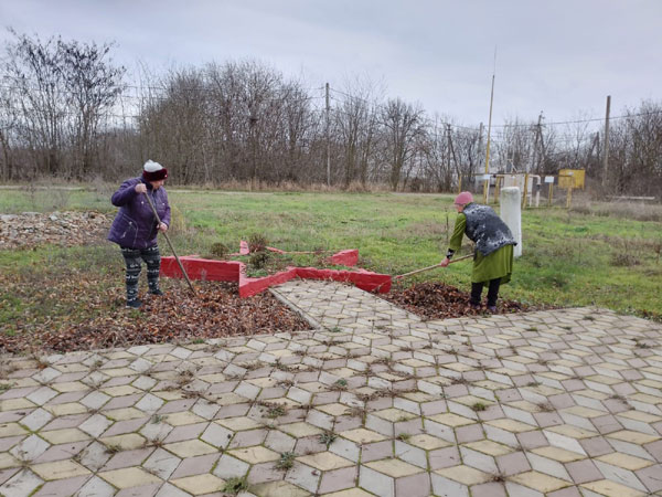 уборка сухой листвы