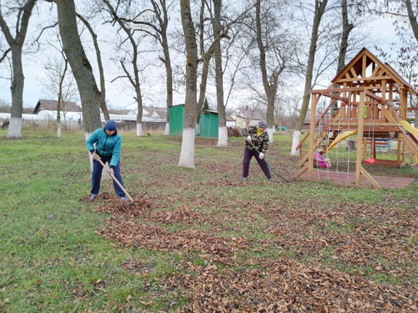 уборка сухой листвы