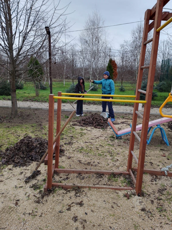 уборка сухой листвы