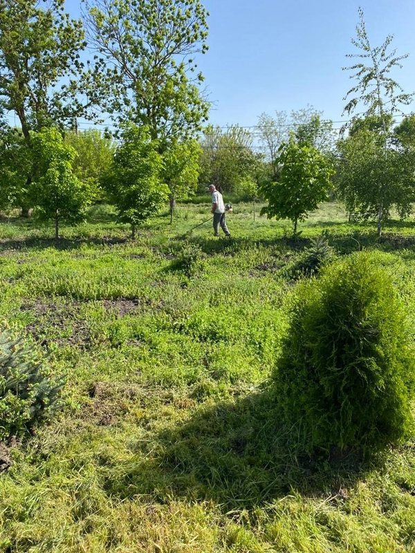 субботник в парковой зоне