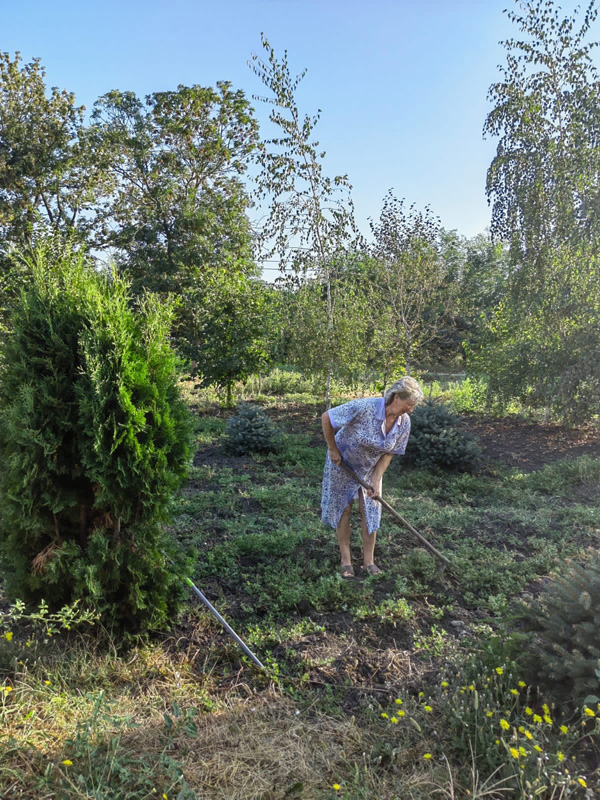 субботник по наведению порядка