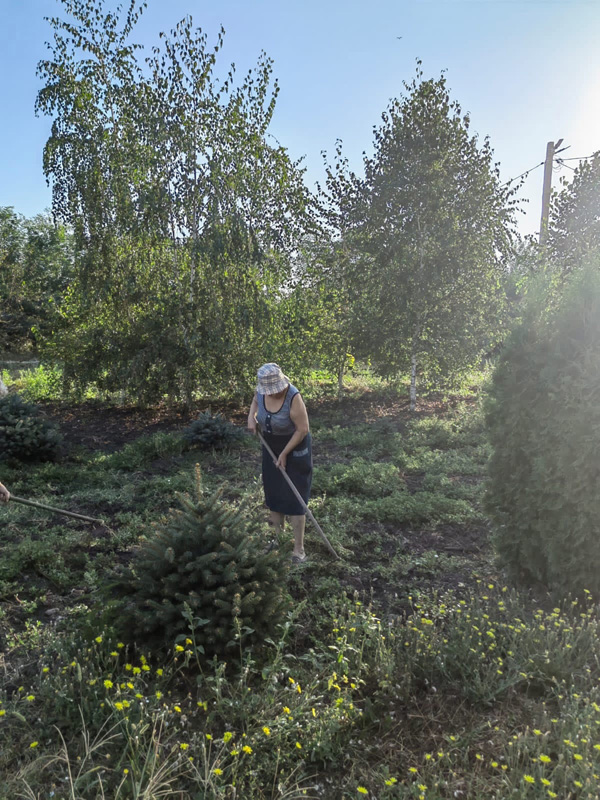 субботник по наведению порядка