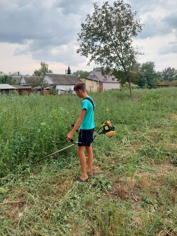 покос сорной растительности